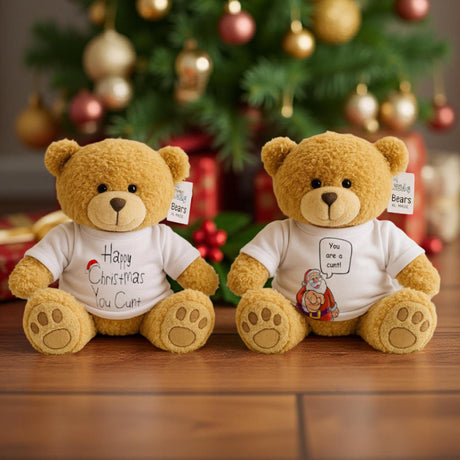 Hilarious Christmas cunt teddy bears – because nothing says Merry Christmas like a soft toy with filthy banter.