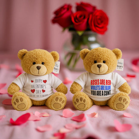 Offensive and adorable Valentine’s teddy bears – for couples who prefer banter over boring.