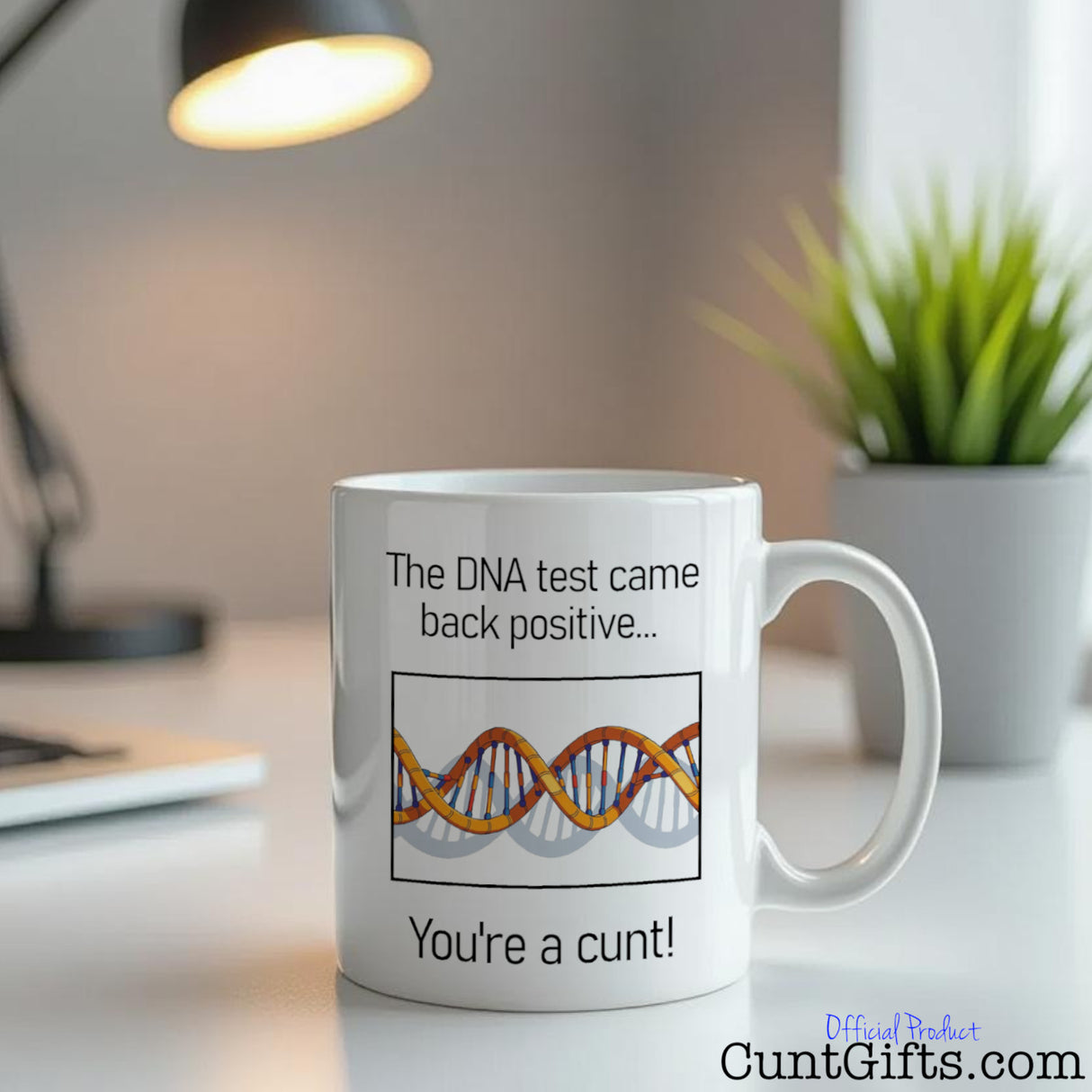 "The DNA Test - You're a cunt" - Mug on desk with plant and lamp