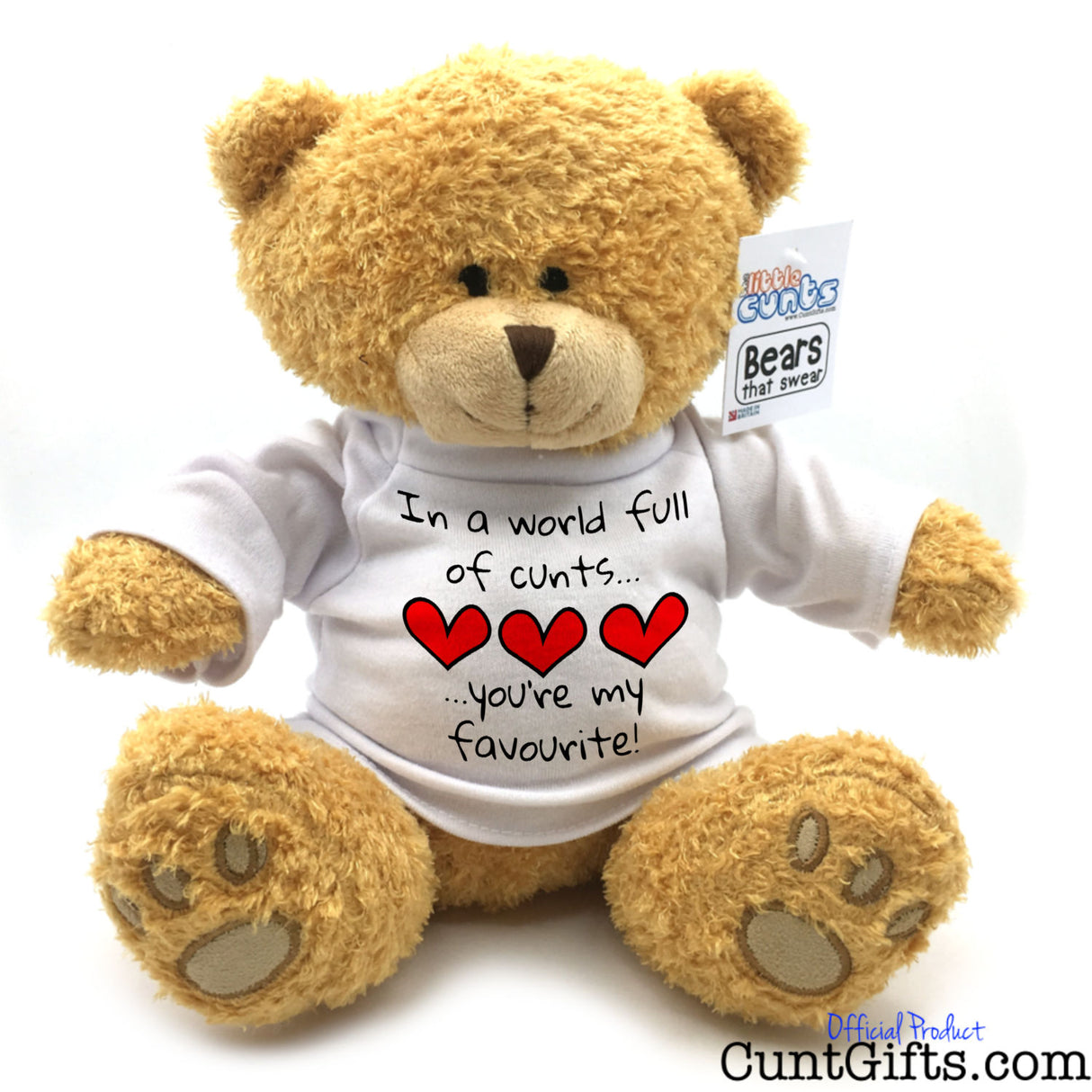 In a world full of cunts you're my favourite - Teddy Bear