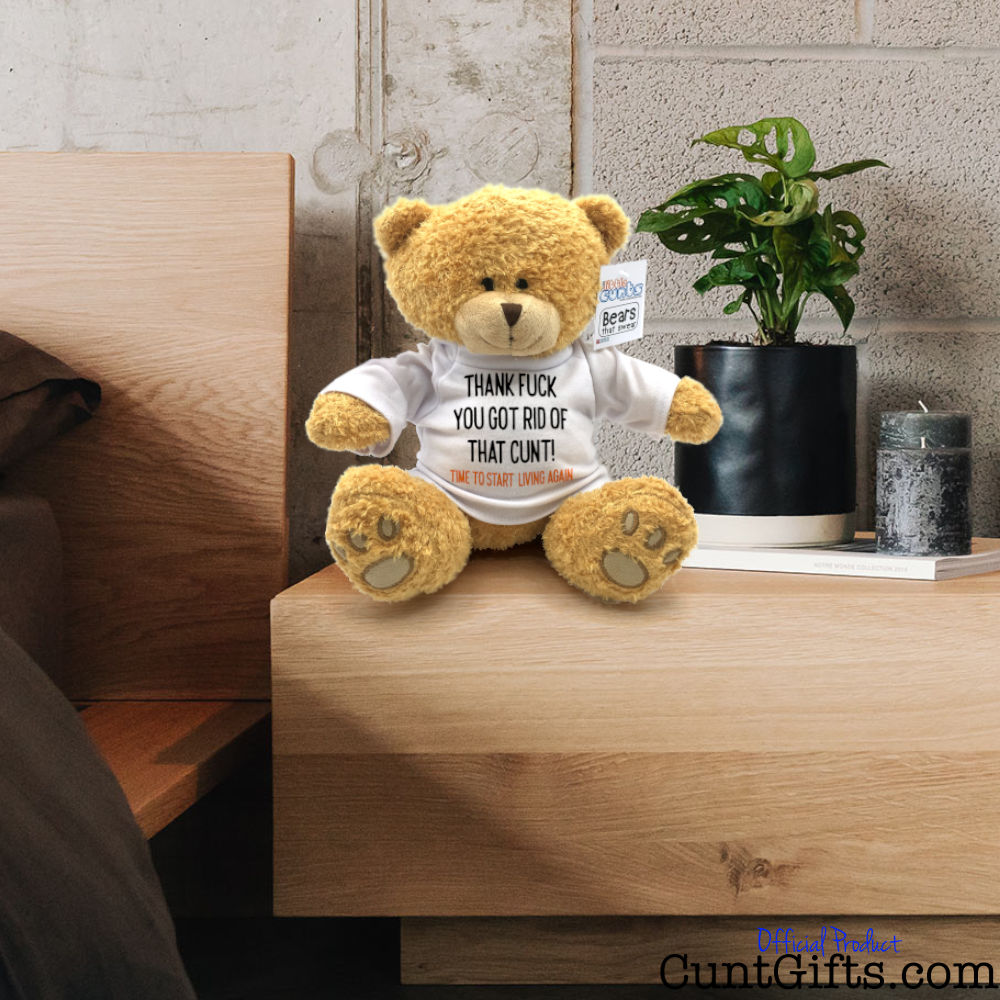 Thank fuck you got rid of that cunt - Breakup Divorce Teddy Bear on Bedside