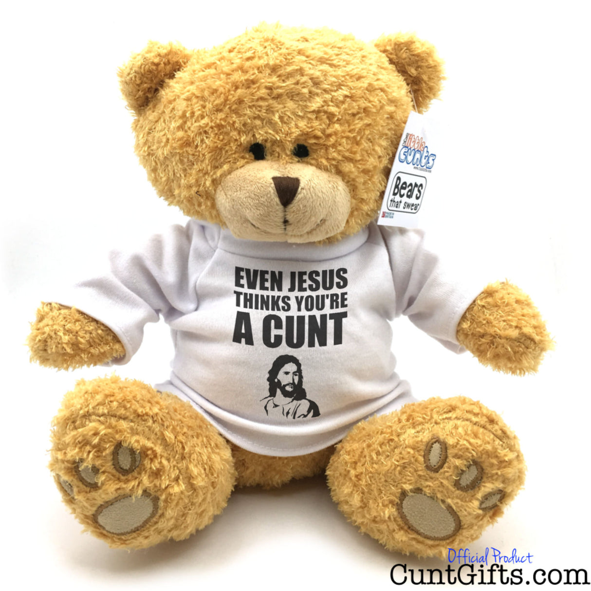 "Even Jesus thinks you're a cunt" - Teddy Bear