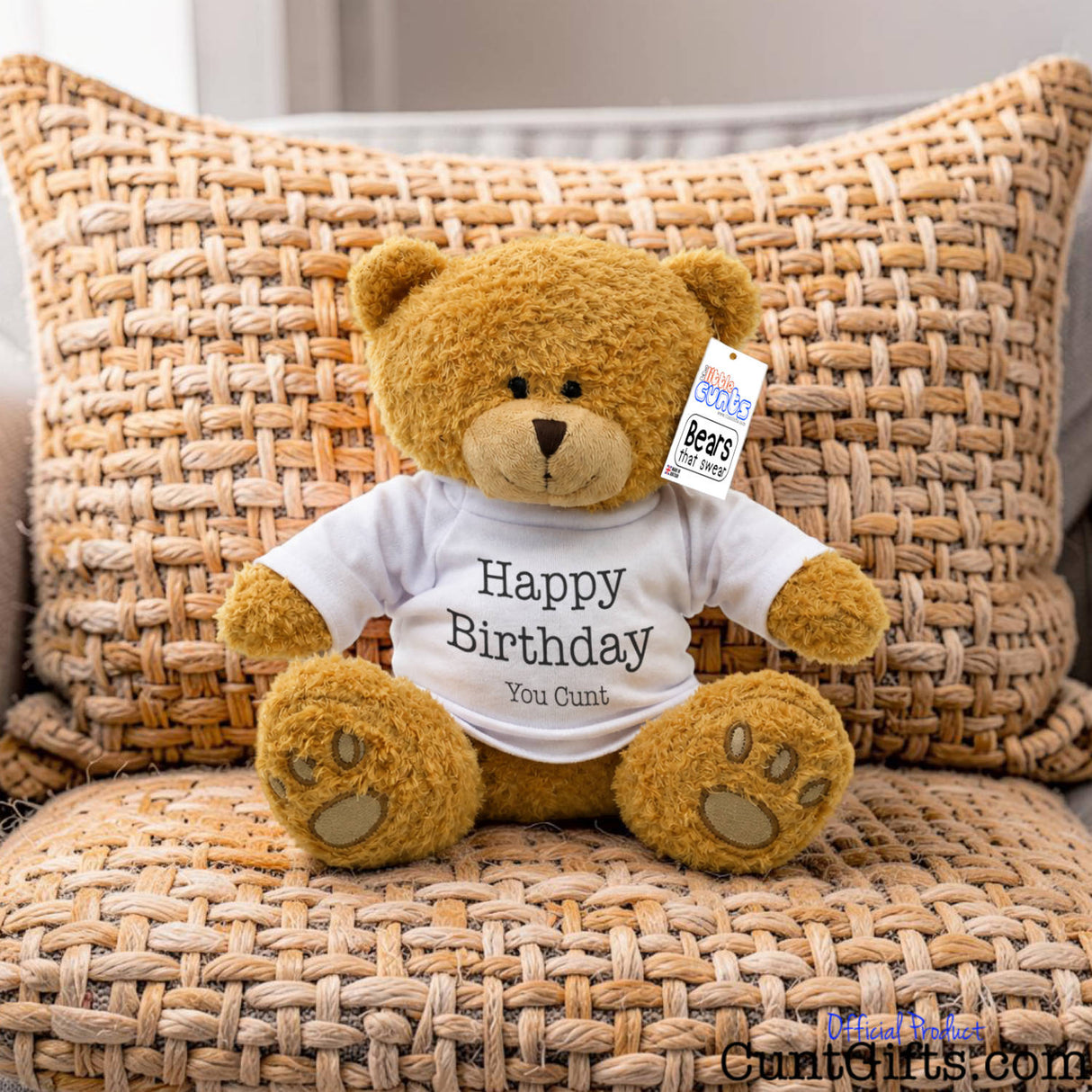 Happy Birthday You Cunt - Teddy Bear Plush sitting on sofa on chunky knitted pillows.