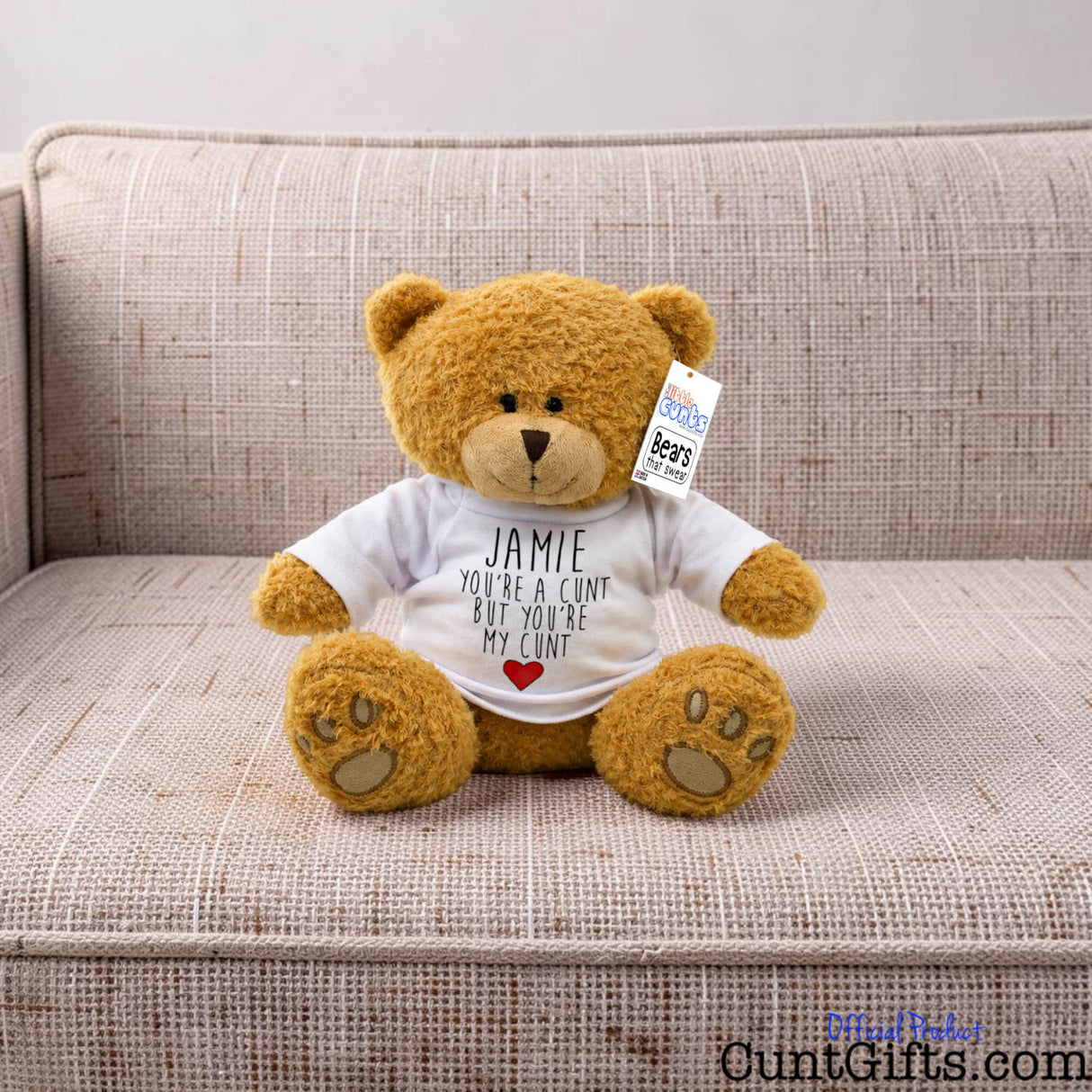 You're a cunt but you're my cunt - Personalised Teddy Bear on sofa.