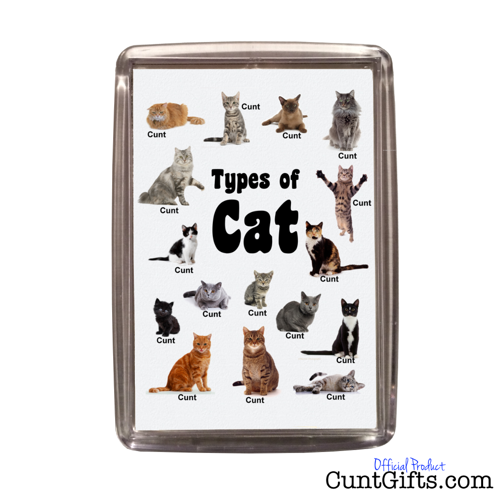 Cats Cunts - Magnet in Packaging