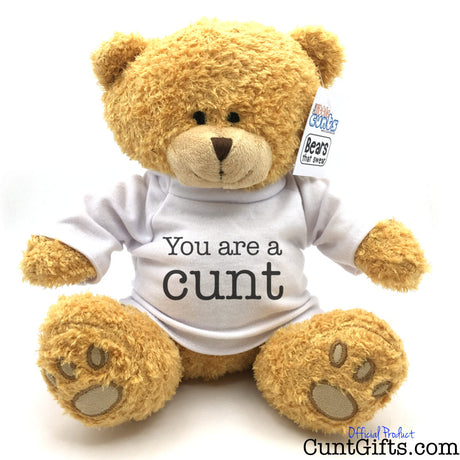 "You are a cunt" - Teddy Bear