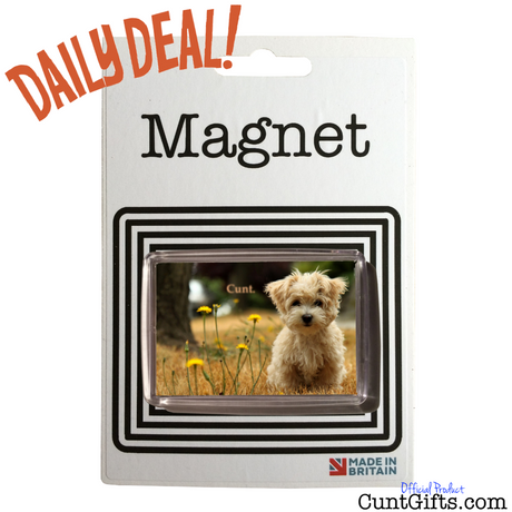 DAILY DEAL!