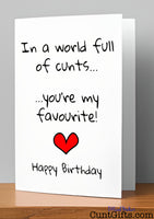In a World Full of Cunts You're My Favourite - Birthday Card on Shelf