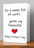In a World Full of Cunts You're My Favourite - Mother's Day Card on Shelf