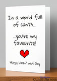 In a World Full of Cunts You're My Favourite - Valentine's Card on Shelf