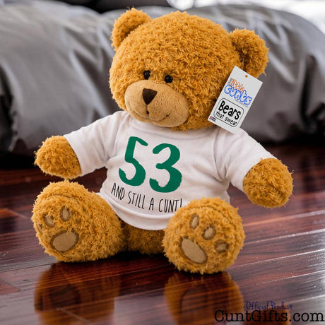A brown plush personalised teddy bear wearing a white T-shirt with green and black text reading '53 AND STILL A CUNT!', sitting on a wooden floor with a grey sofa in the background.