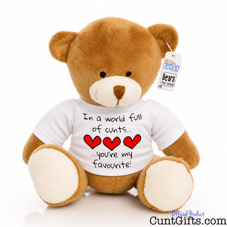 In a world full of cunts you're my favourite - Teddy Bear - Style 2