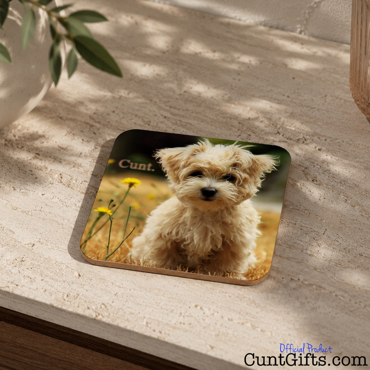 A square coaster with rounded corners featuring a printed photo of a fluffy cream-colored dog in a field with the word cunt, placed on a textured beige stone surface with soft shadows.