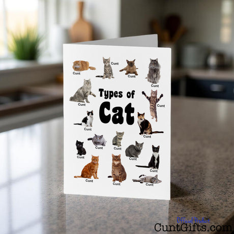 Types of Cat cunt card with illustrations of cats and text 'Types of Cat' on a kitchen counter.