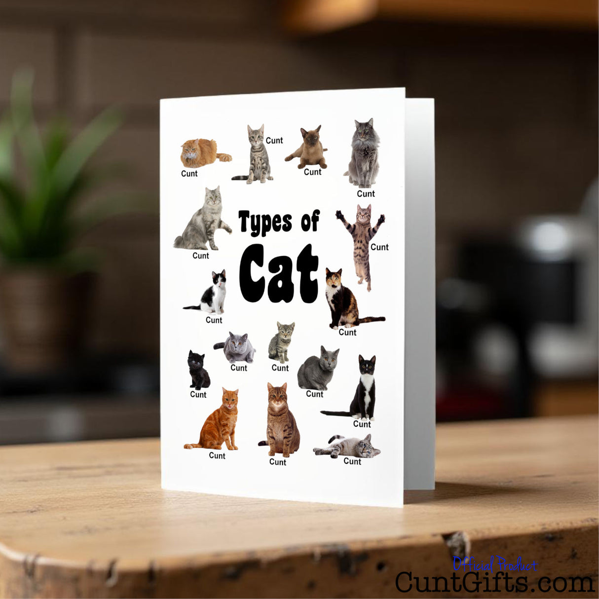 Types of Cat cunt card on a kitchen counter