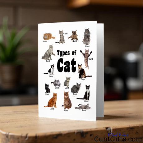 Types of Cat cunt card on a kitchen counter