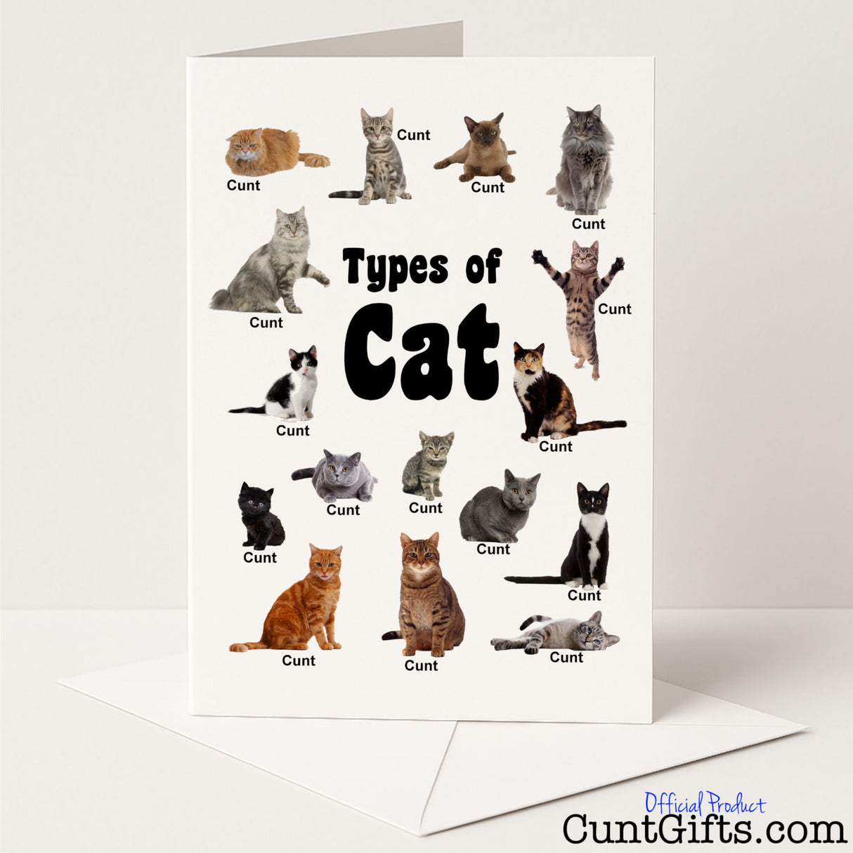 Funny greetings card that says "Types of Cat: They Are All Cunts" – purrfectly rude and spot-on for cat lovers, from Cunt Gifts