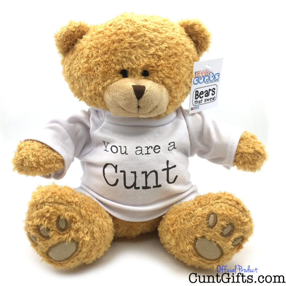 A plush teddy bear sitting against a white background, wearing a white T-shirt with the text 'You are a Cunt' in black.