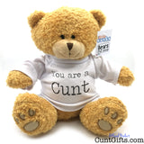 A plush teddy bear sitting against a white background, wearing a white T-shirt with the text 'You are a Cunt' in black.