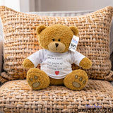 A brown teddy bear plush toy sitting on a woven chair, wearing a white T-shirtthat says "You're a Cunt and I Fucking Love You" -  and a small red heart. A hangtag is visible on the right side of its head.