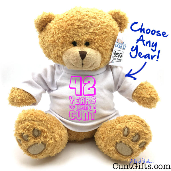 ANY Years of Being a Cunt - Pink Personalised Teddy Bear