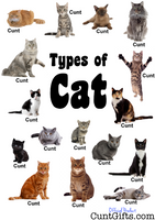 "Types of Cat" - Design