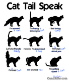 "Cat Tail Speak" - Design