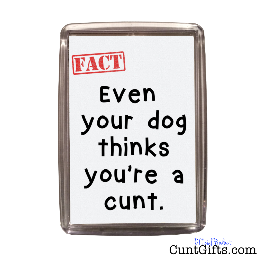 Even Your Dog Thinks You're a Cunt - Magnet