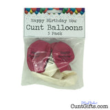 5 Happy Birthday You Cunt Balloons Packaging Pink & White Front