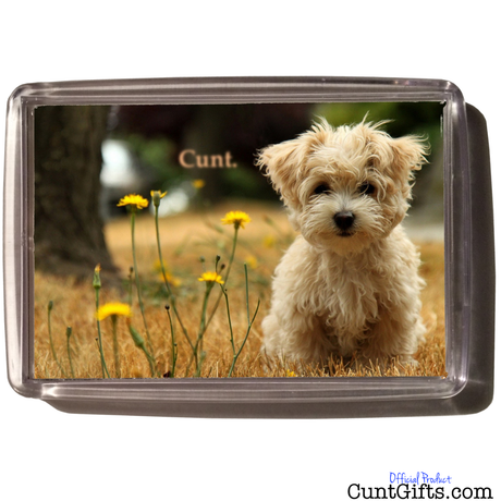 "Little Dog Cunt" - Magnet