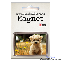 Little Dog Cunt Magnet in Packaging