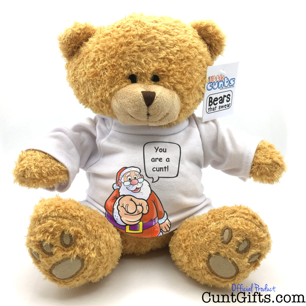 "Santa says you are a cunt" - Teddy Bear