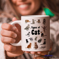 Types of Cats Cunt Mug held with a smile